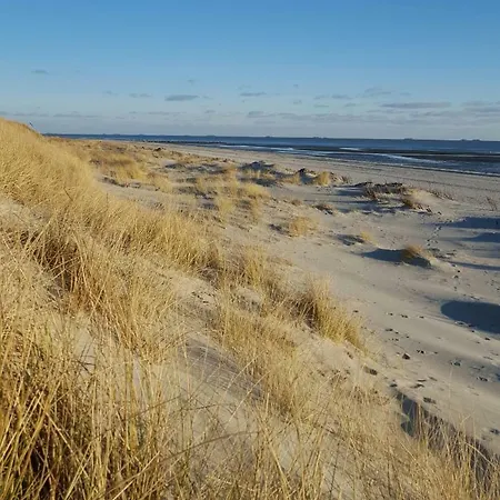 Reetdachhaus Webstube Foehr Fuer 3 Pers Und 1 Haustier Daire Nieblum